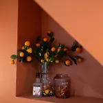 Le Grand Cru - Centre Appartement Saumur